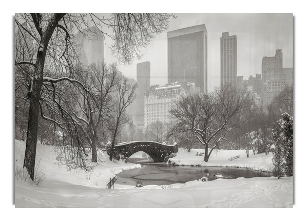 Winter Snow In Central Park