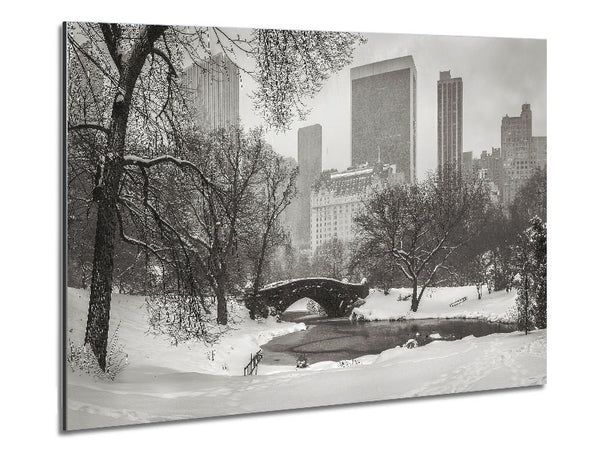 Winter Snow In Central Park Metal Print