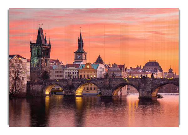 Stunning Pink Skies Over The City