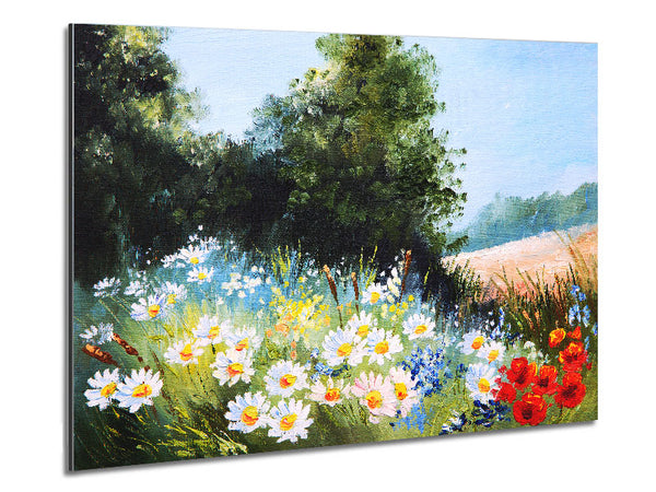 Daisy Days Metal Print