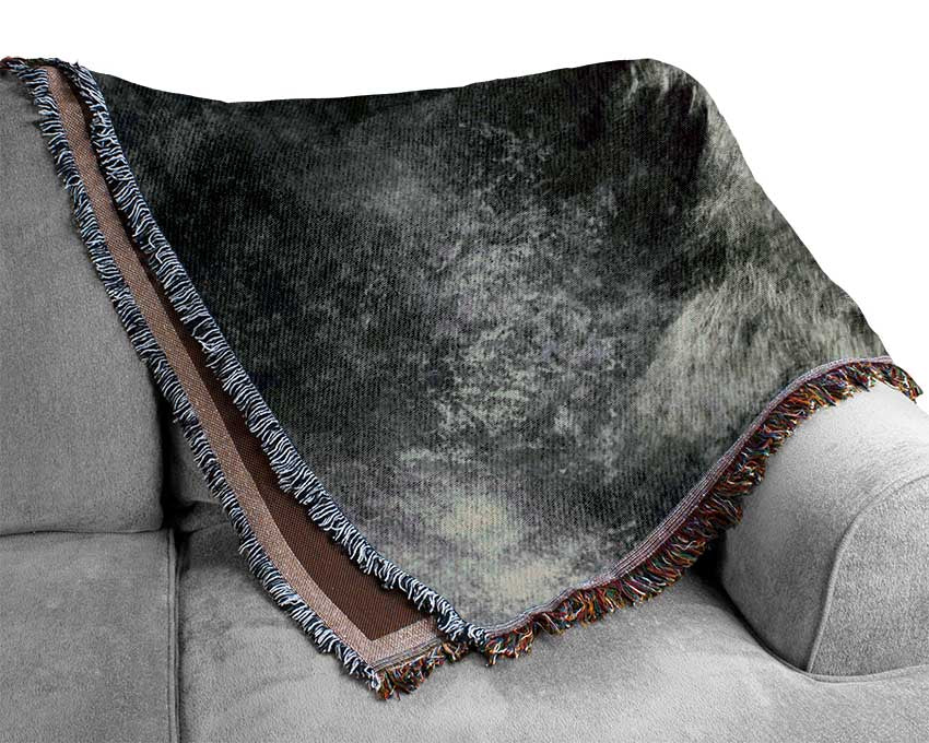 Howling Wolf Calling His Woven Blanket