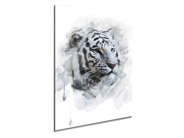 White Tiger Blue Eyes Metal Print