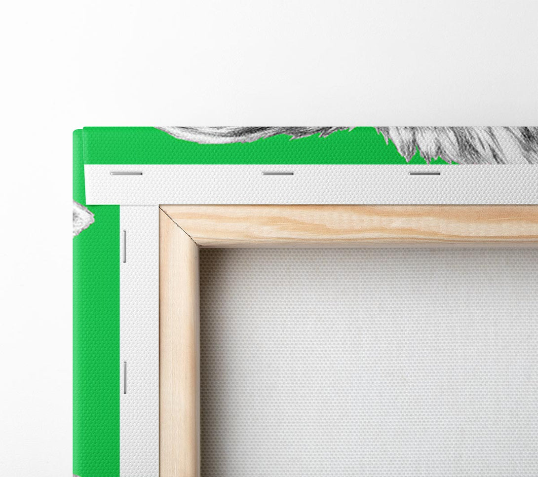  A Canvas Print of Llama Cool Canvas Wall Art
