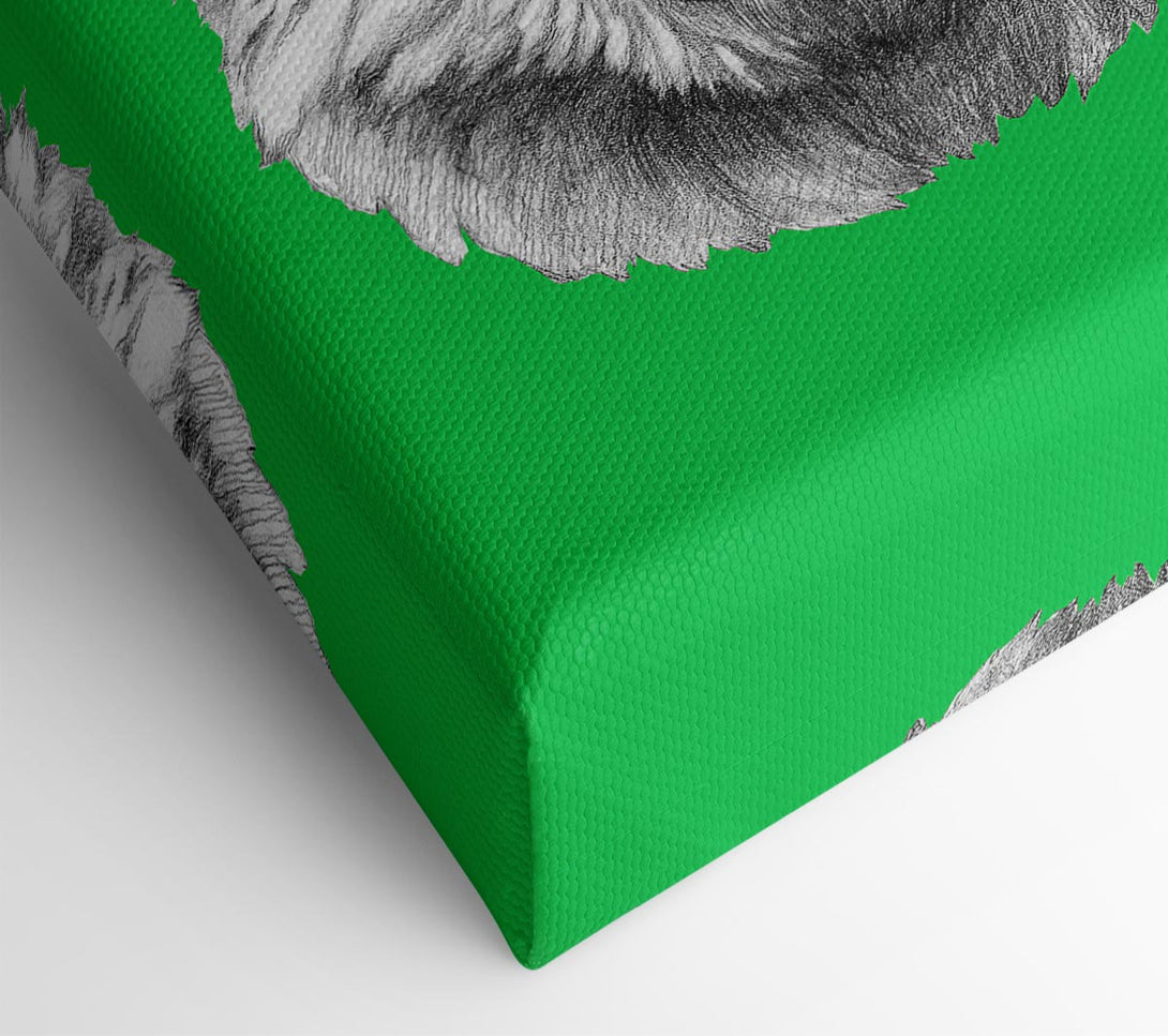  A Canvas Print of Llama Cool Canvas Wall Art