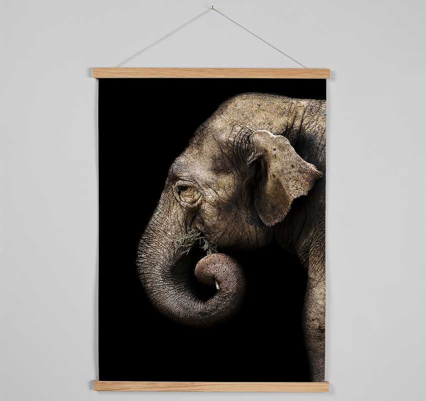 Elephant Feed Hanging Poster - Wallart-Direct UK