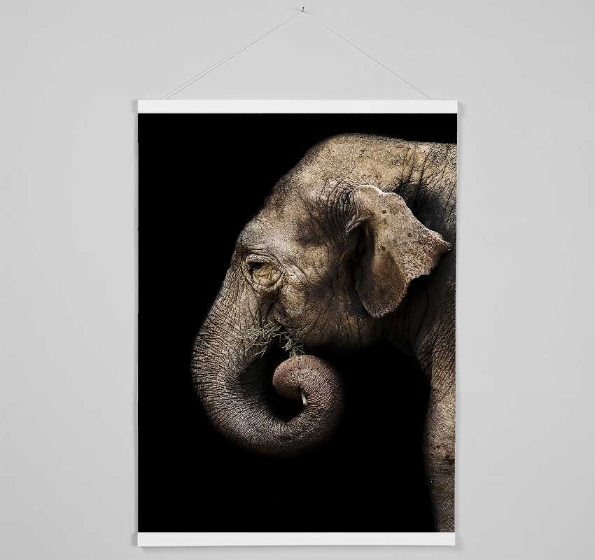 Elephant Feed Hanging Poster - Wallart-Direct UK