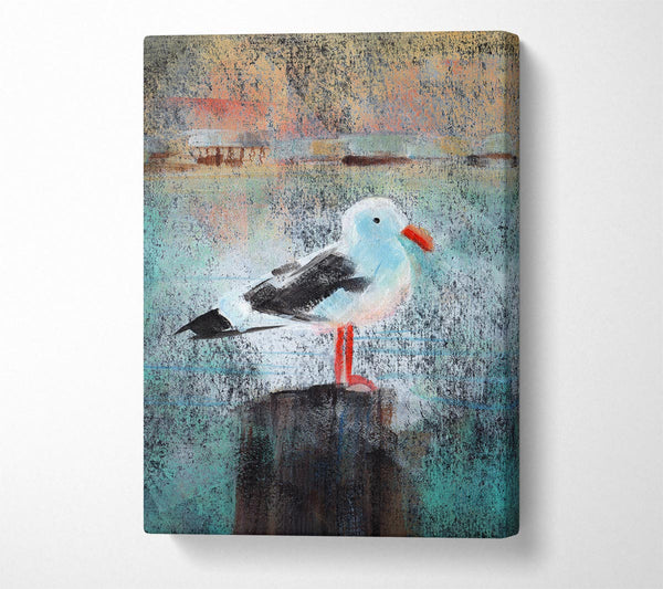  A Canvas Print of Seagull Perch Canvas Wall Art