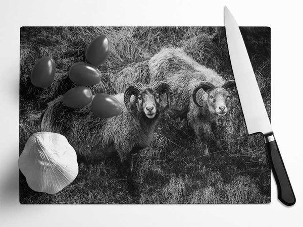Ram Duo Glass Chopping Board