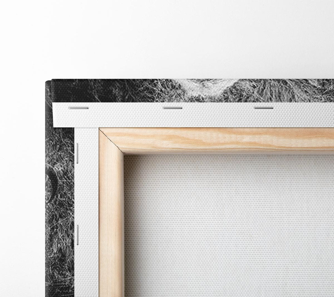  A Canvas Print of Ram Duo Canvas Wall Art
