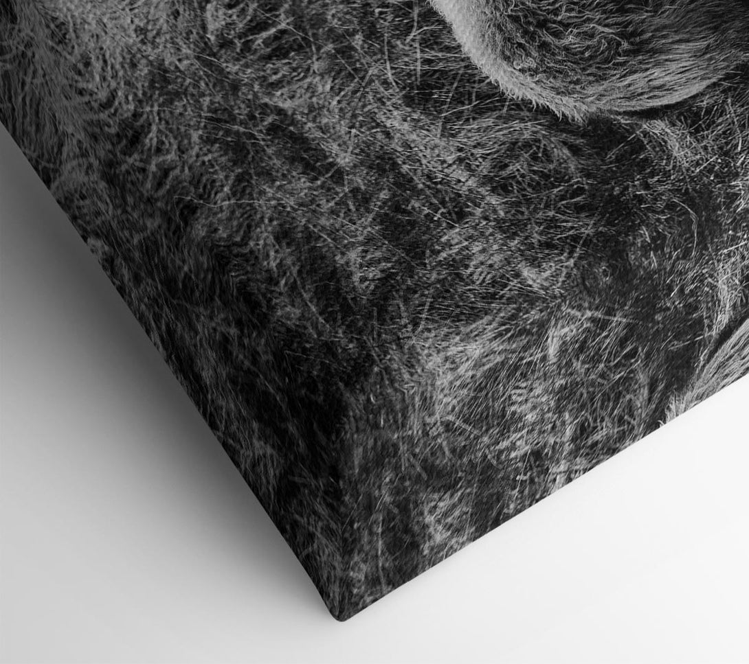  A Canvas Print of Ram Duo Canvas Wall Art