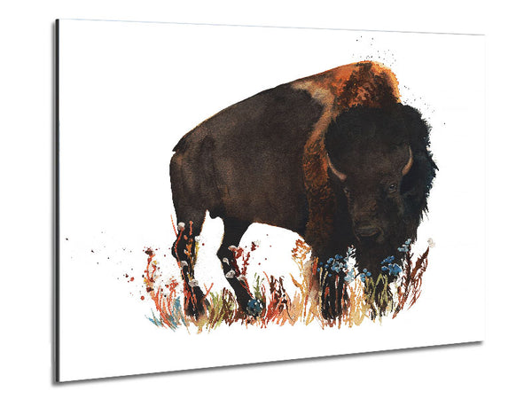 Bison Love Metal Print