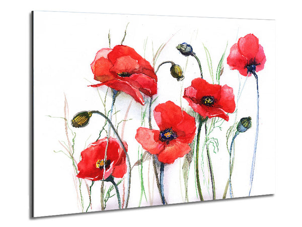 Poppy Magic Skies Metal Print