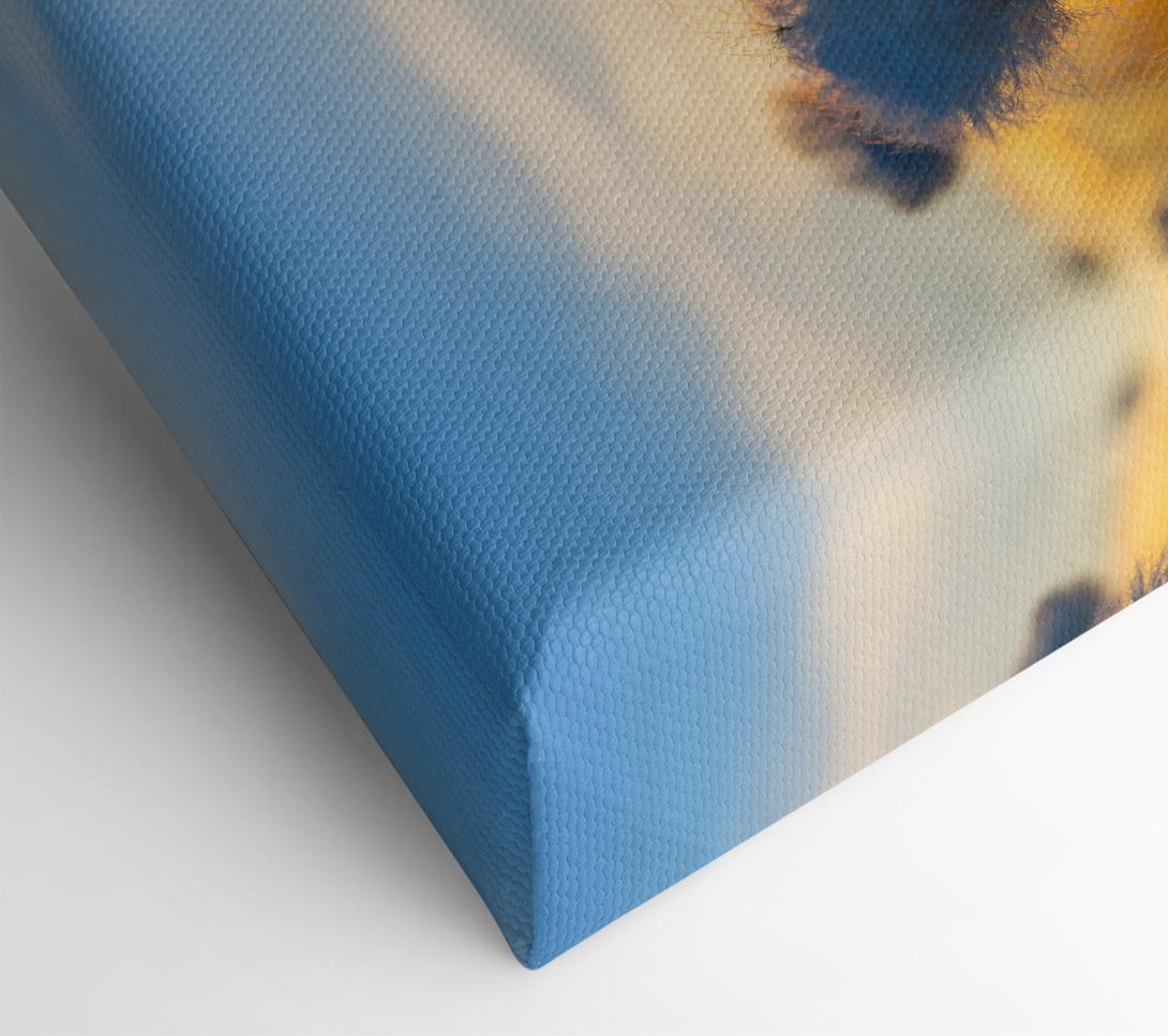  A Canvas Print of Cottonbuds In The Sunset Canvas Print