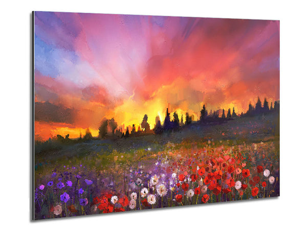 Sun Break Over The Wild Flowers Metal Print
