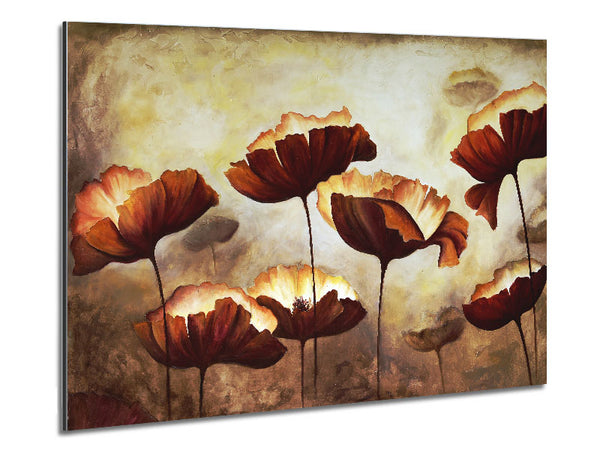Chocolate Poppies Metal Print