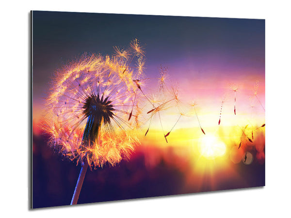 Whisper In The Sun Metal Print