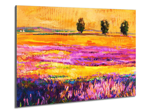 Pink Fields Of Gold Metal Print