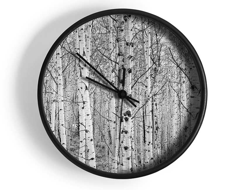 Just Silver Birch Clock - Wallart-Direct UK