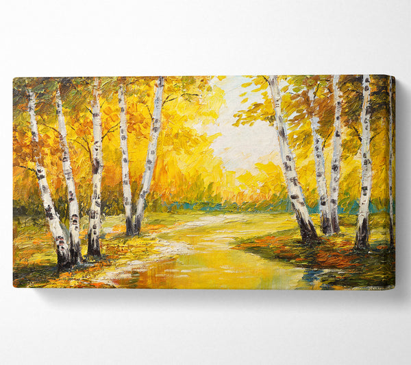 Yellow Silver Birch Walk