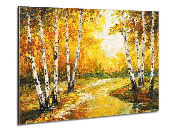 Yellow Silver Birch Walk Metal Print