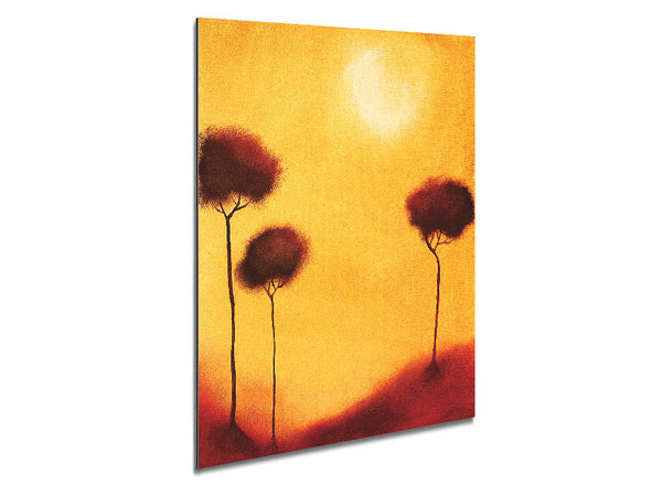 Cotton Tree Sun Metal Print