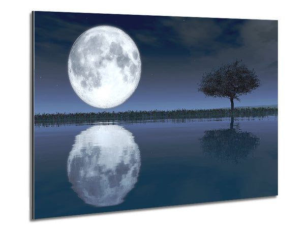 Moon Reflection Metal Print