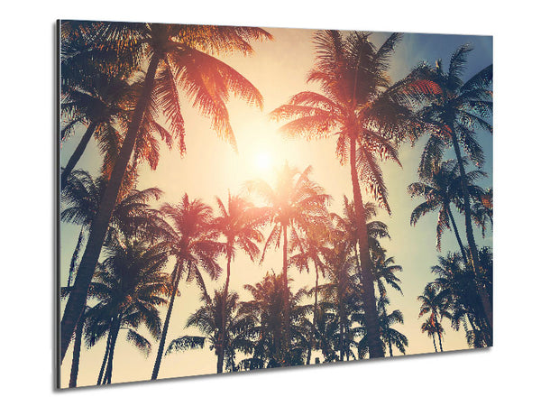 Palm Tree Haze 1 Metal Print