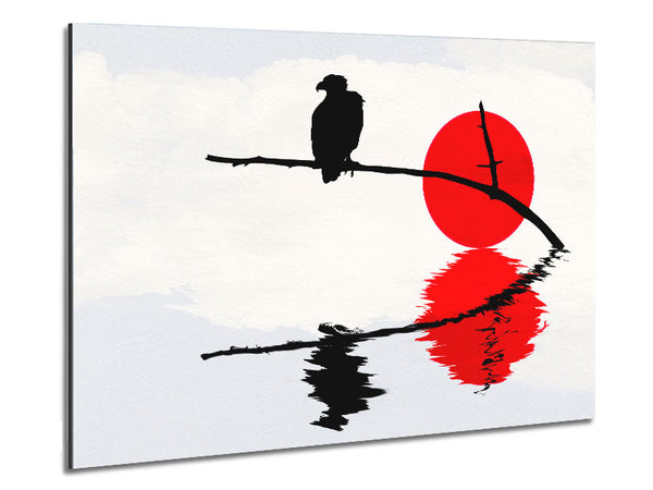 Reflections Of The Red Sun Eagle Metal Print