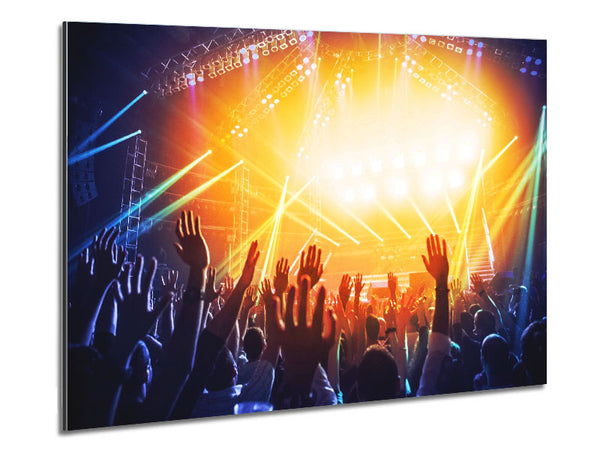 Fans At The Show Metal Print