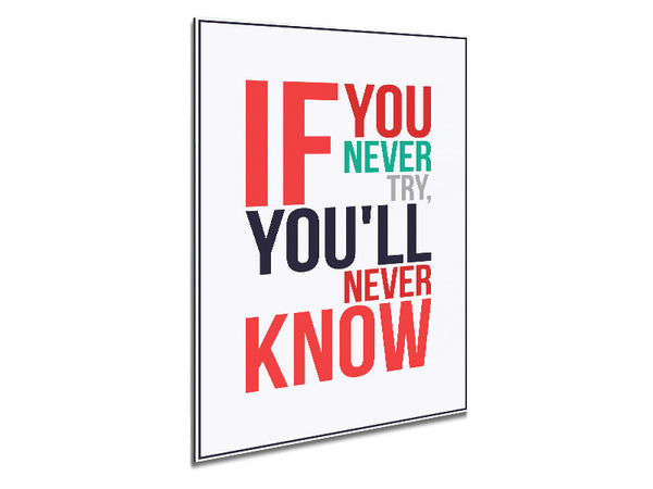 If You Never Try 1 Metal Print