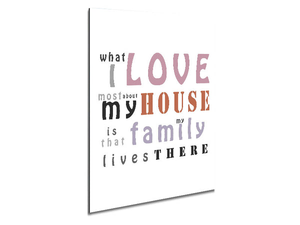What I Love Mosy About My House Metal Print