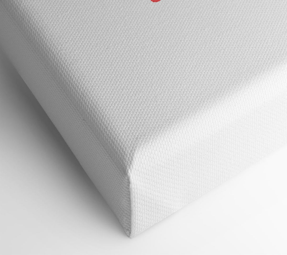  A Canvas Print of Forget Your Troubles Canvas Art