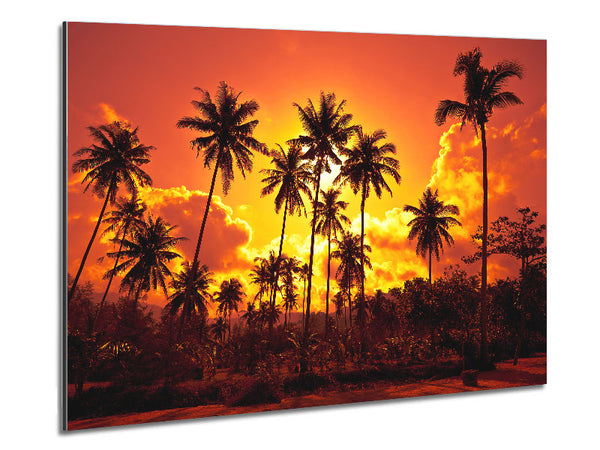 Sun Behind The Palm Trees Metal Print
