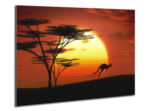 Kangaroo Sun Glow Metal Print