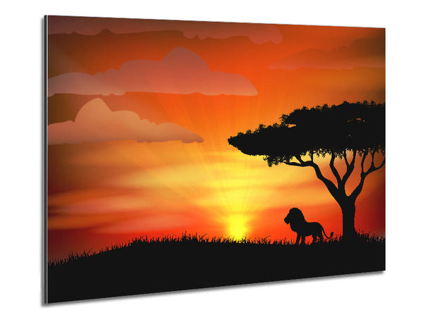 King Of The Jungle Sun Blaze Metal Print