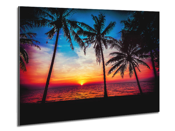 As The Sun Goes Down Between The Palm Trees Metal Print