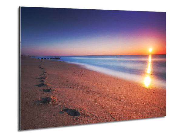 Walk Of Love Metal Print