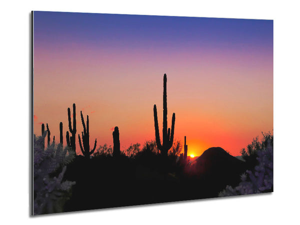 Desert Sun Glow Metal Print