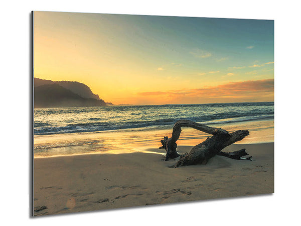 Driftwood Ocean Metal Print