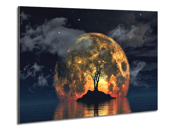 Fire Sun Tree Metal Print