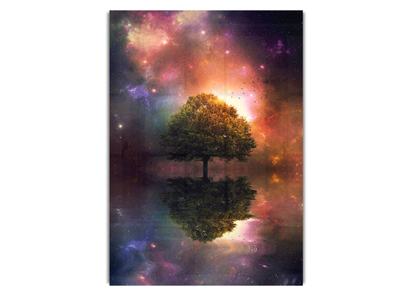 Universal Tree Of Life