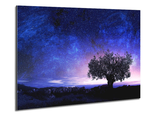 Star Light Wonder Metal Print