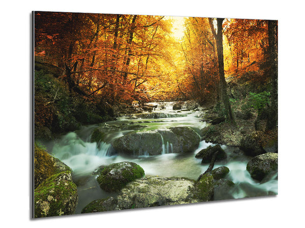 Forest Magic Metal Print