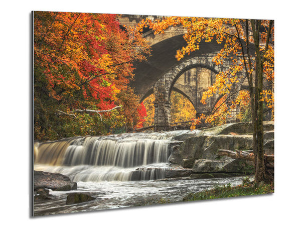 Bridge In The Forest Metal Print