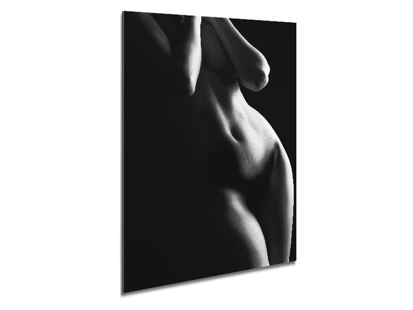 The Female Form 1 Metal Print