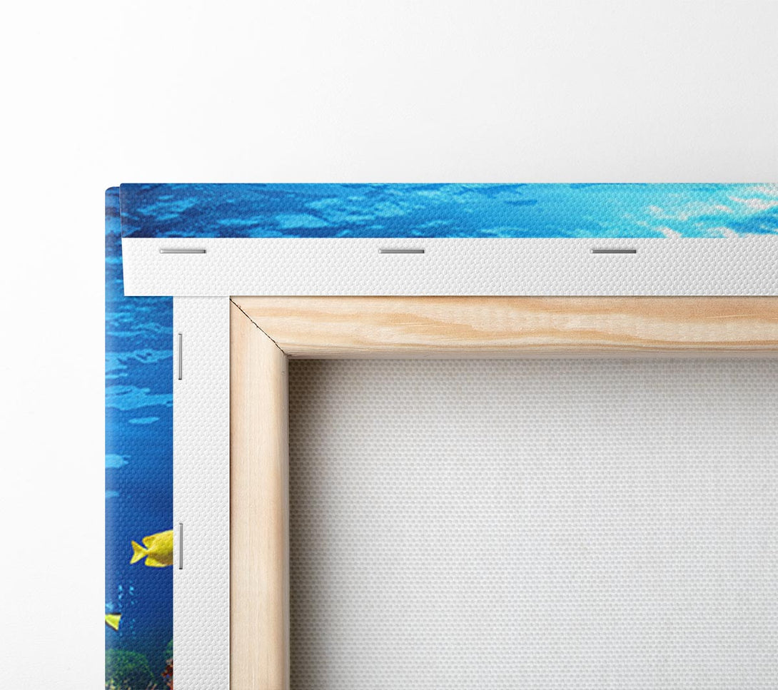  A Canvas Print of Creatures in the reef Canvas Print