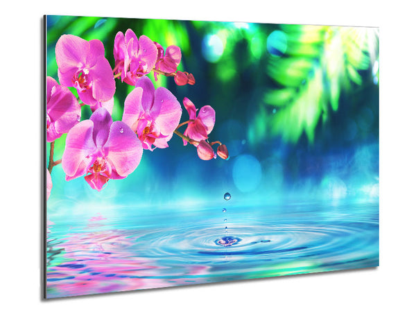 Pink orchid droplet Metal Print