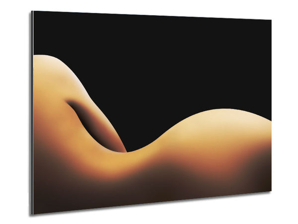 Curviture of the body Metal Print