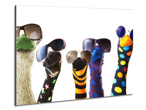 Sock Puppets with shades Metal Print