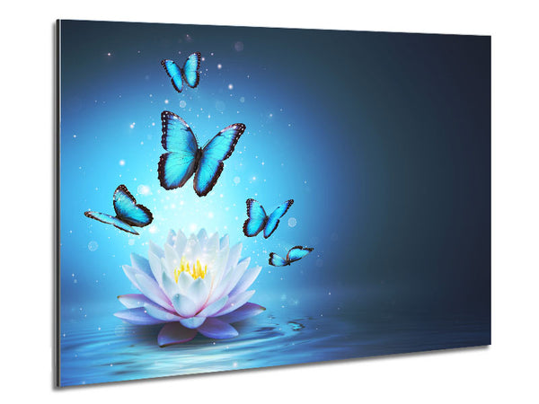 Butterflies above the lilly Metal Print